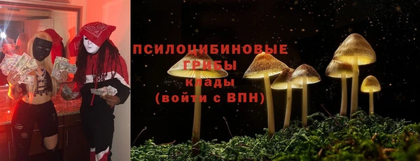 эйфоретик Алексин