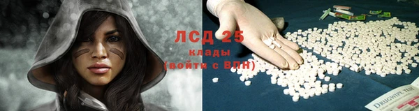 эйфоретик Алексин
